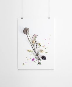 Wall Art Botanical Print Floral Wall Art Botanical Wall Art Prints Floral Print Art Botanical Art Floral Prints Wall Art Fynbos