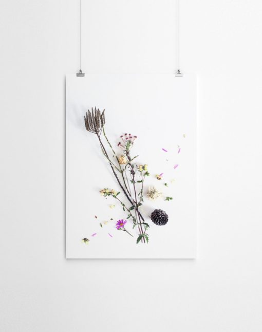 Wall Art Botanical Print Floral Wall Art Botanical Wall Art Prints Floral Print Art Botanical Art Floral Prints Wall Art Fynbos