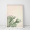 Wall Art Fan Palm Leaf Print Tropical Decor Botanical Wall Art Plant Wall Art Prints Leaves Print Tropical Wall Art Prints