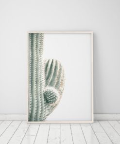 Wall Art Cactus Print Art Trendy Modern Art Cactus Decor Cactus Minimalist Wall Art Prints
