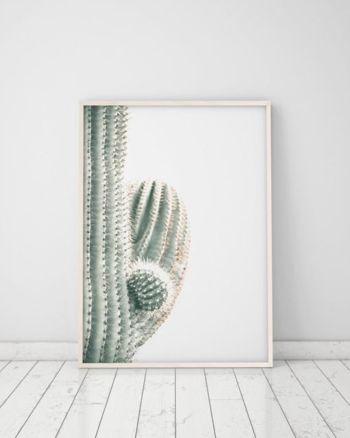 Wall Art Cactus Print Art Trendy Modern Art Cactus Decor Cactus Minimalist Wall Art Prints