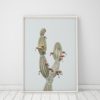 Wall Art Cactus Print Art Trendy Modern Art Cactus Decor Cactus Minimalist Wall Art Prints