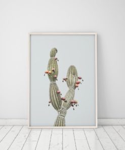 Wall Art Cactus Print Art Trendy Modern Art Cactus Decor Cactus Minimalist Wall Art Prints