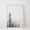 Wall Art Cactus Print Art Trendy Modern Art Cactus Decor Cactus Minimalist Wall Art Prints