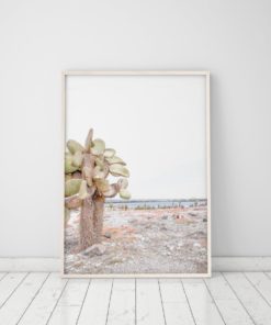 Cactus Print Desert Print Cactus Poster Desert Art Desert Photography Print Cactus Wall Art Prints Cactus Decor Desert Decor Prints Wall Art
