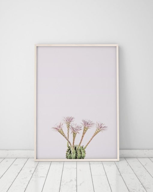 Wall Art Cactus Print Art Trendy Modern Art Cactus Decor Cactus Minimalist Wall Art Prints Pink Cactus Print