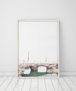 Wall Art Nature Photography Prints Nature Prints Scenery Prints Cactus Print Wall Art Prints