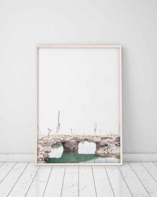Wall Art Nature Photography Prints Nature Prints Scenery Prints Cactus Print Wall Art Prints