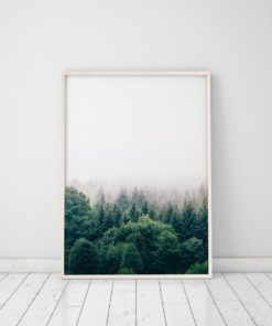 Wall Art Forest Print Printable Forest Art Nature Photography Prints Nature Prints Scenery Prints Forest Wall Art Prints