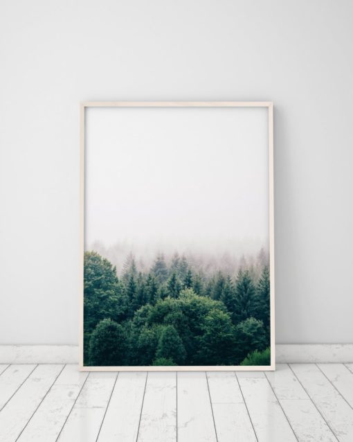 Wall Art Forest Print Printable Forest Art Nature Photography Prints Nature Prints Scenery Prints Forest Wall Art Prints