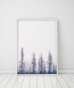 Wall Art Forest Print Printable Forest Art Nature Photography Prints Nature Prints Scenery Prints Forest Wall Art Prints