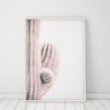 Wall Art Pink Cactus Print Art Trendy Modern Art Cactus Decor Cactus Minimalist Wall Art Prints