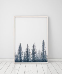 Wall Art Forest Print Printable Forest Art Nature Photography Prints Nature Prints Scenery Prints Forest Wall Art Prints