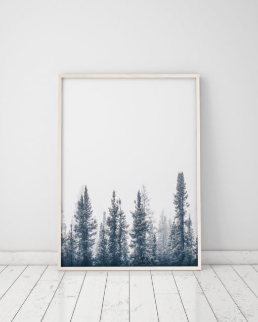 Wall Art Forest Print Printable Forest Art Nature Photography Prints Nature Prints Scenery Prints Forest Wall Art Prints