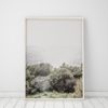 Wall Art Nature Photography Prints Nature Prints Scenery Prints Wall Art Prints