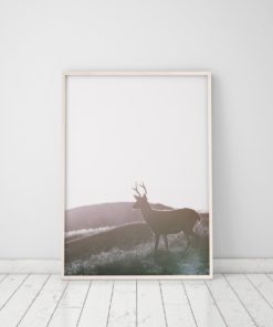 Stag Print Deer Decor Animal Prints For Nursery Stag Art Deer Print Animal Art Deer In The Woods Animal Poster Deer In Forest Wall Art Print