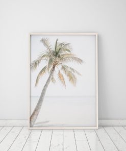 Wall Art Palm Tree Print Coastal Prints Beach Wall Art Palm Tree Wall Art Prints