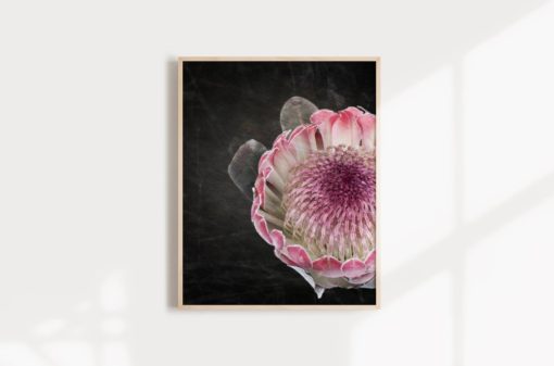 Wall Art Protea Print Protea Flower Print Floral Wall Art Protea Art Floral Art Print Protea Wall Art Floral Print Flower Art Print