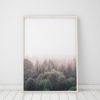 Wall Art Forest Print Printable Forest Art Nature Photography Prints Nature Prints Scenery Prints Forest Wall Art Prints