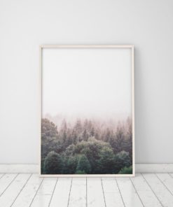 Wall Art Forest Print Printable Forest Art Nature Photography Prints Nature Prints Scenery Prints Forest Wall Art Prints
