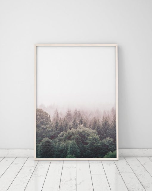 Wall Art Forest Print Printable Forest Art Nature Photography Prints Nature Prints Scenery Prints Forest Wall Art Prints