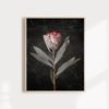 Wall Art Protea Print Protea Flower Print Floral Wall Art Protea Art Floral Art Print Protea Wall Art Floral Print Flower Art Print