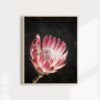 Wall Art Protea Print Protea Flower Print Floral Wall Art Protea Art Floral Art Print Protea Wall Art Floral Print Flower Art Print