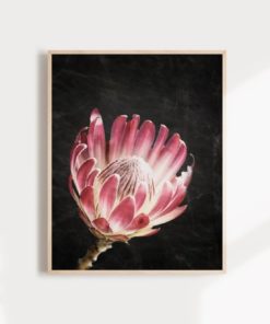 Wall Art Protea Print Protea Flower Print Floral Wall Art Protea Art Floral Art Print Protea Wall Art Floral Print Flower Art Print