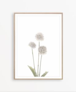 Dandelion Wall Art Wildflower Print Botanical Wall Decor Dandelion Print Floral Poster Minimalist Print Rustic Print Farmhouse Wall Decor