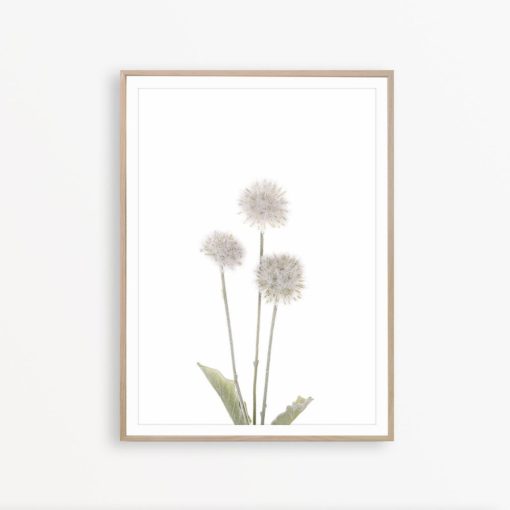 Dandelion Wall Art Wildflower Print Botanical Wall Decor Dandelion Print Floral Poster Minimalist Print Rustic Print Farmhouse Wall Decor