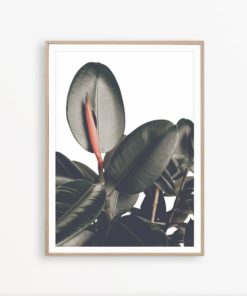 Ficus Print Scandinavian Poster Botanical Wall Art Nature Print Tropical Wall Art Gallery Wall Print Scandinavian Art Nature Wall Decor