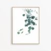 Eucalyptus Print Botanical Print Mint Green Wall Art Eucalyptus Leaf Print Tropical Poster Australian Plant Eucalyptus Wall Art Mint Decor