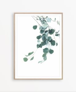 Eucalyptus Print Botanical Print Mint Green Wall Art Eucalyptus Leaf Print Tropical Poster Australian Plant Eucalyptus Wall Art Mint Decor