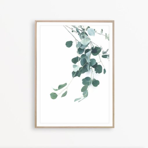 Eucalyptus Print Botanical Print Mint Green Wall Art Eucalyptus Leaf Print Tropical Poster Australian Plant Eucalyptus Wall Art Mint Decor