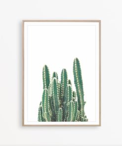 Cactus Print Cacti Wall Art Southwestern Decor Botanical Print Cactus Photography Cacti Decor Cactus Wall Art Cacti Poster Minimal Print Art