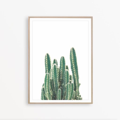 Cactus Print Cacti Wall Art Southwestern Decor Botanical Print Cactus Photography Cacti Decor Cactus Wall Art Cacti Poster Minimal Print Art