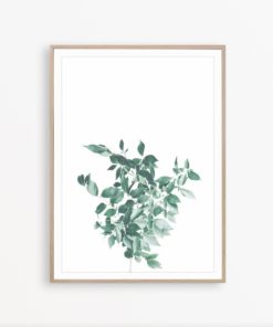 Ficus Print Botanical Print Eucalyptus Wall Art Plant Poster Botanical Wall Decor Plant Print Art Farmhouse Wall Decor Eucalyptus Print