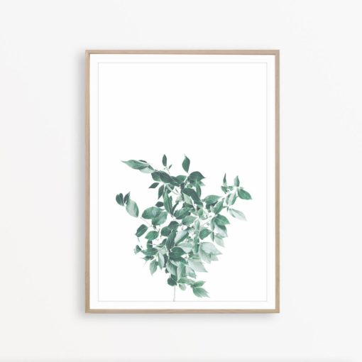 Ficus Print Botanical Print Eucalyptus Wall Art Plant Poster Botanical Wall Decor Plant Print Art Farmhouse Wall Decor Eucalyptus Print