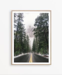 Forest Print Nature Photography Trees Art Scandinavian Print Pine Tree Print Road Photo Trees Wall Art Scenery Print Art Nature Wall Decor