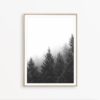 Forest Wall Art Black and White Nature Print Scandinavian Wall Art Nordic Print Forest Photography Print Scandinavian Poster Modern Wall Art