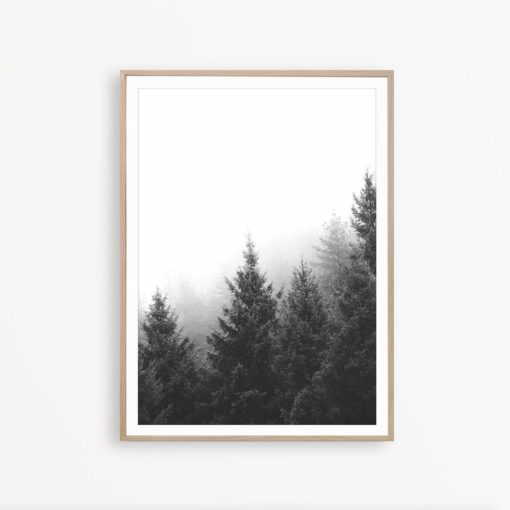 Forest Wall Art Black and White Nature Print Scandinavian Wall Art Nordic Print Forest Photography Print Scandinavian Poster Modern Wall Art