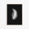 Feather Print Black and White Wall Art Minimalist Print Scandinavian Art Bedroom Wall Decor Feather Art Bedroom Poster Minimal Art Printable
