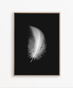 Feather Print Black and White Wall Art Minimalist Print Scandinavian Art Bedroom Wall Decor Feather Art Bedroom Poster Minimal Art Printable