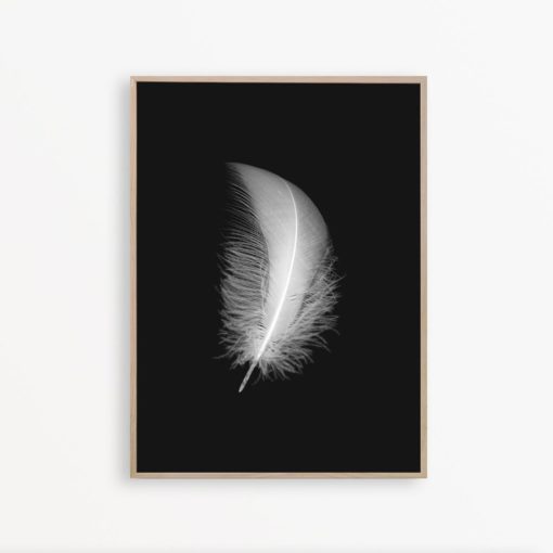 Feather Print Black and White Wall Art Minimalist Print Scandinavian Art Bedroom Wall Decor Feather Art Bedroom Poster Minimal Art Printable