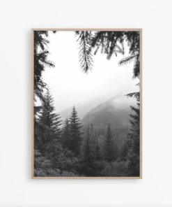 Forest Art Black and White Art Black and White Photography Print Nordic Print Scandinavian Printable Forest Photography Nature Wall Art