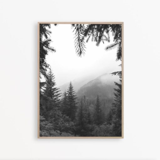 Forest Art Black and White Art Black and White Photography Print Nordic Print Scandinavian Printable Forest Photography Nature Wall Art