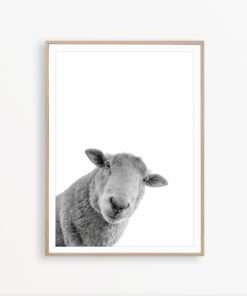 Sheep Print Farmhouse Decor Sheep Art Black and White Nursery Print Sheep Wall Art Sheep Printable Farmhouse Photography Sheep Poster