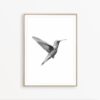 Hummingbird Print Minimalist Print Colibri Wall Art Bird Print Black and White Wall Art Bird Poster Scandinavian Art Print Hummingbird Decor