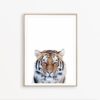 Tiger Print Bengal Tiger Poster Tiger Wall Art Safari Animal Print Tiger Decor Tiger Printable Wild Nature Tiger Poster Jungle Animal Print