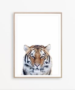 Tiger Print Bengal Tiger Poster Tiger Wall Art Safari Animal Print Tiger Decor Tiger Printable Wild Nature Tiger Poster Jungle Animal Print